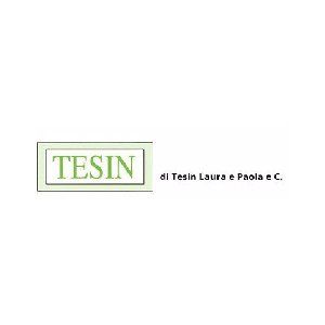 Logo Tesin