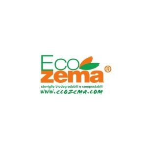 Logo EcoZema