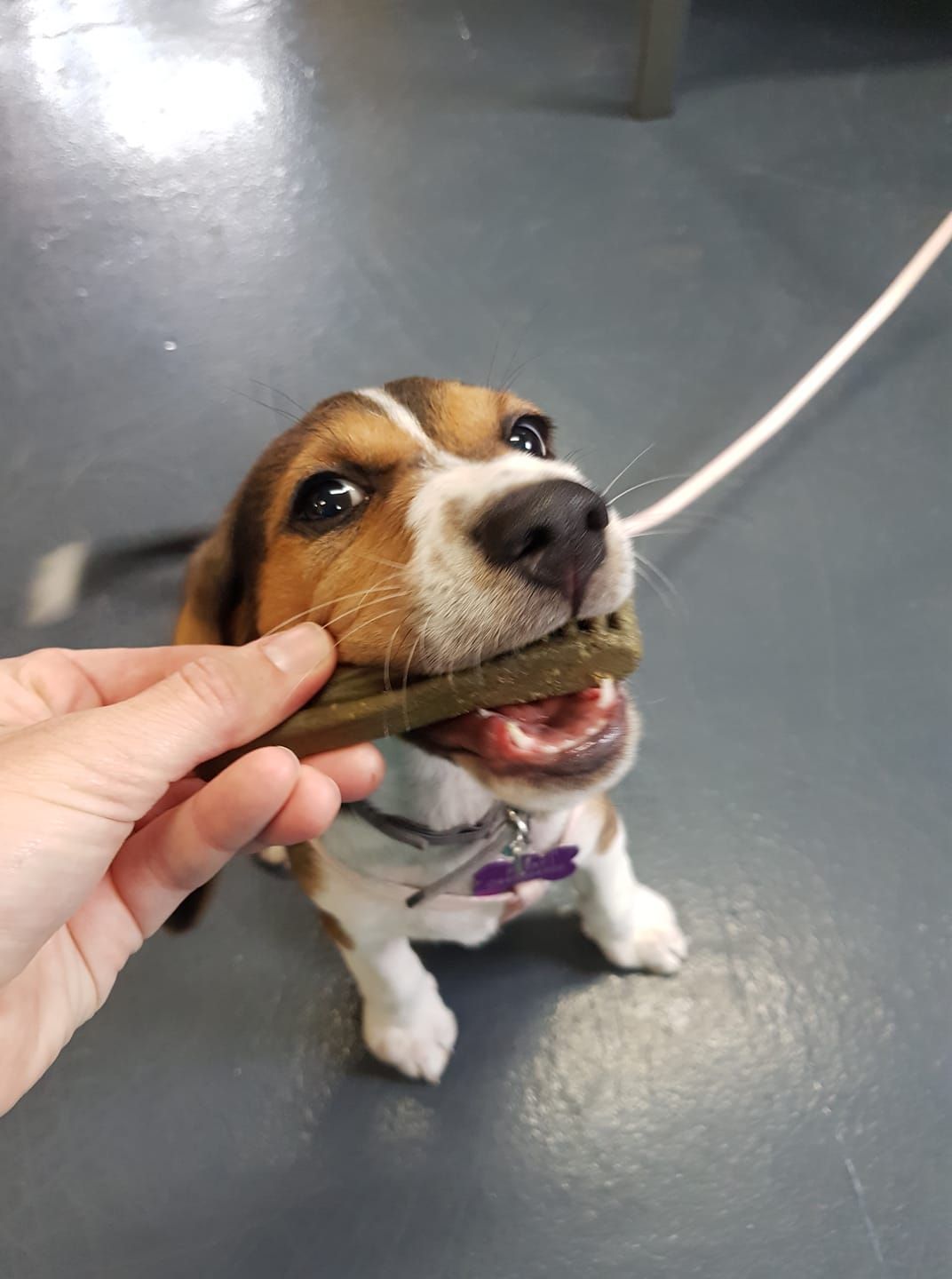 Dental Health - Whyalla, SA - Dr Mustafa Bozkurt