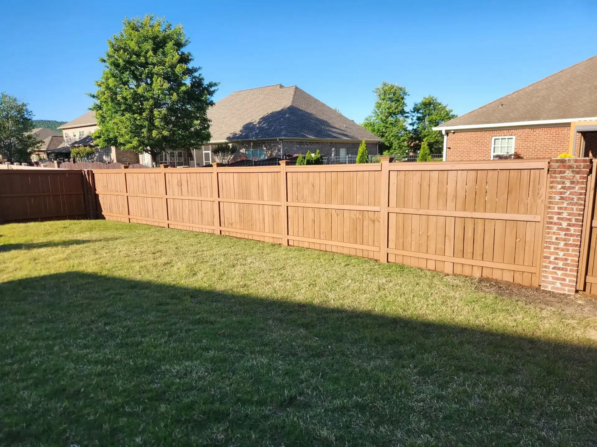 Sunny backyard with green lawn, wooden fence, and houses under a blue sky