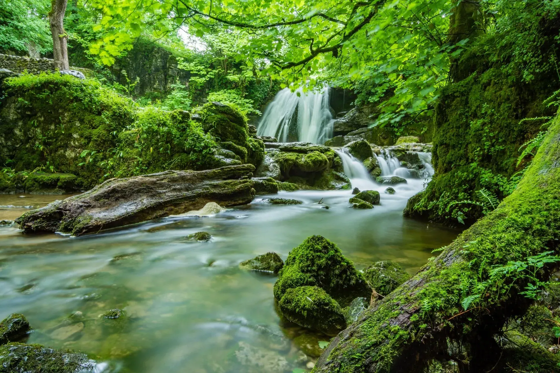 Environmental Advocacy
