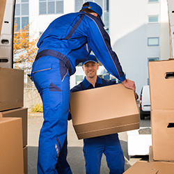 Movers Carrying Box - Movers in Morristown, TN