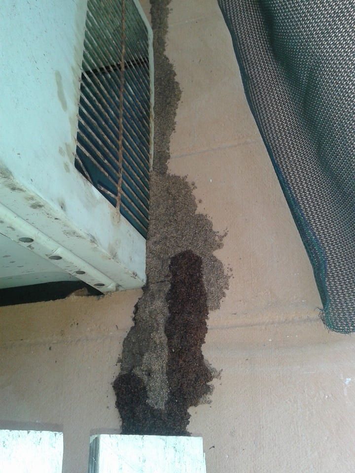 Termites Colony Beside an Old Air Conditioner — Termite and Pest Control Goonellabah, NSW