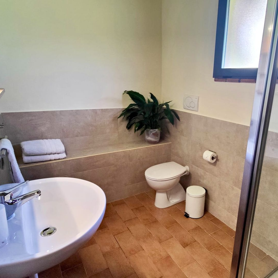 A modern bathroom with beige lower wall tiles and warm-toned floor tiles. On the left, a glass-enclosed shower with chrome fixtures; in the centre, a white sink with a chrome faucet and a glass tumbler on a wall-mounted holder; on the right, a white toilet beside a small trash bin and toilet paper holder. Above the toilet, a shelf holds folded towels and a potted plant, and a frosted window fills the room with soft natural light.