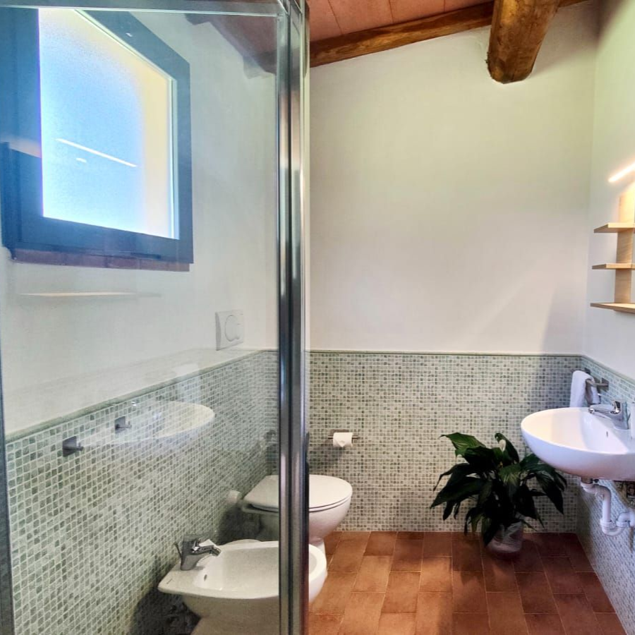 Modern bathroom with exposed wooden ceiling beams and brown tiled walls and floor. A glass-enclosed shower occupies one corner; opposite, a wall-mounted sink sits beneath a rectangular mirror flanked by two small shelves. Next to the sink are a toilet and bidet. A small potted plant rests on the floor below a frosted-glass window.
