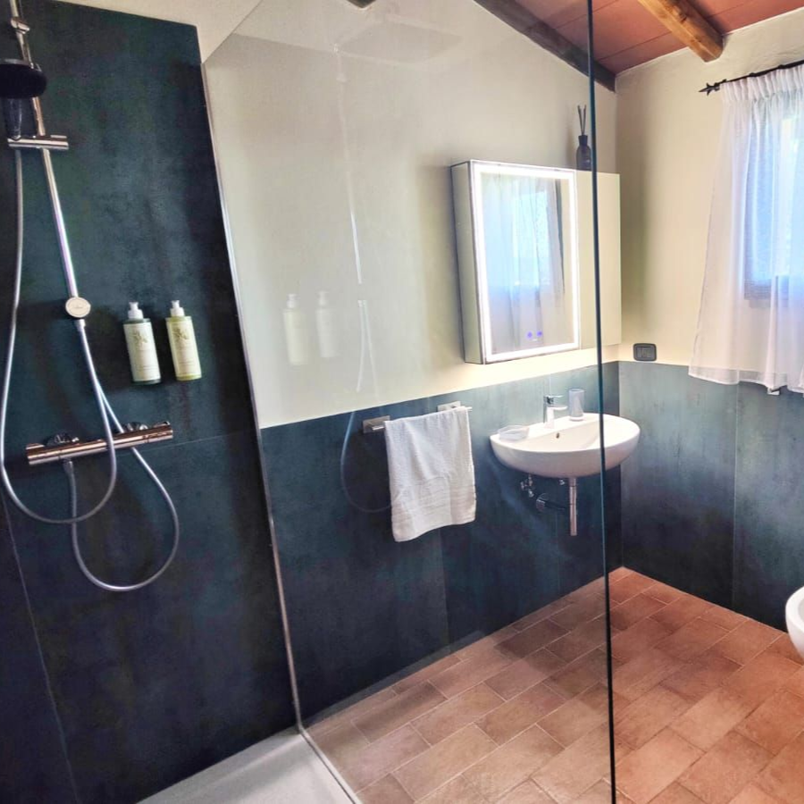 A bright, modern bathroom with a frameless glass shower enclosure featuring a rainfall showerhead and two wall-mounted toiletry bottles on the left; a white pedestal sink with a round mirror and towel hook in the centre; and a bidet and toilet beneath a window framed by sheer white curtains on the right. The lower walls are clad in muted green tile, the upper walls are light-painted, and the floor is covered in light brown tiles.