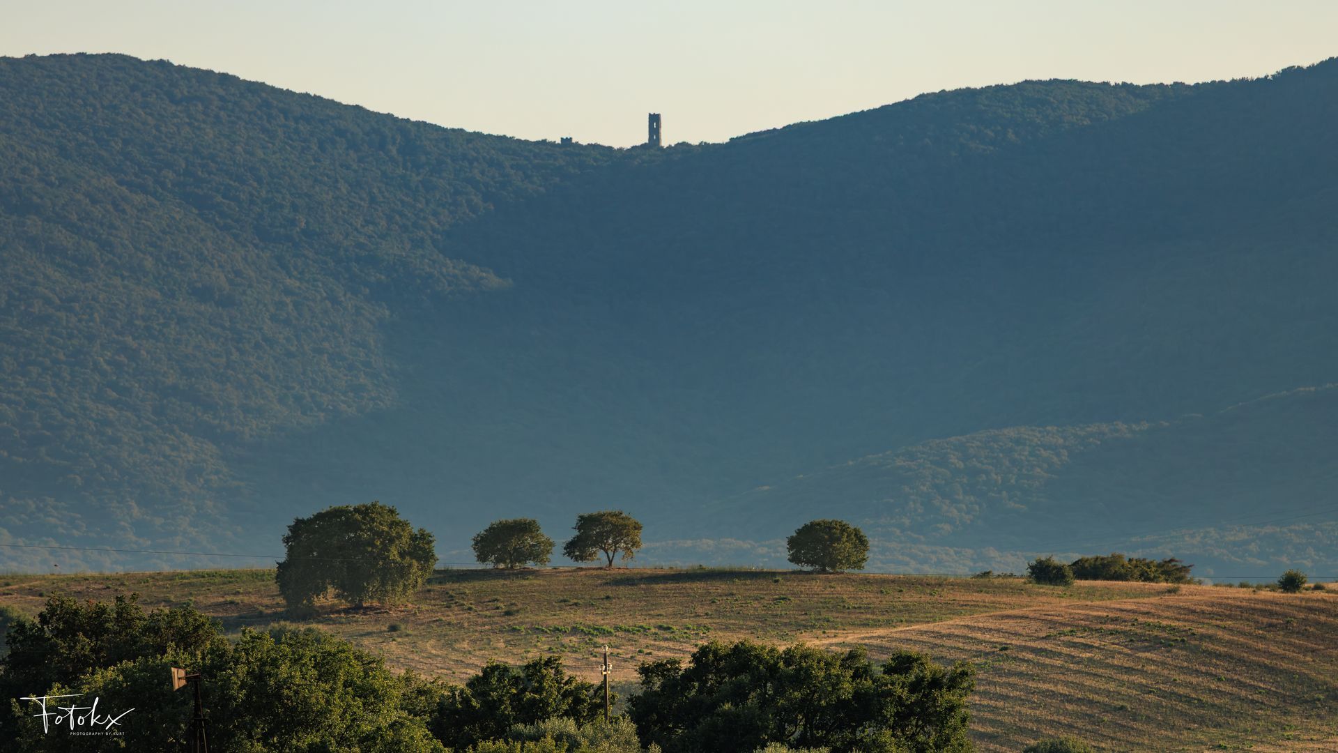 Rolling field with scattered trees, forested hills, and a lone ridge tower at golden hour