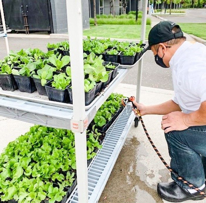 Image linking to waste reduction, recycling, and diversion