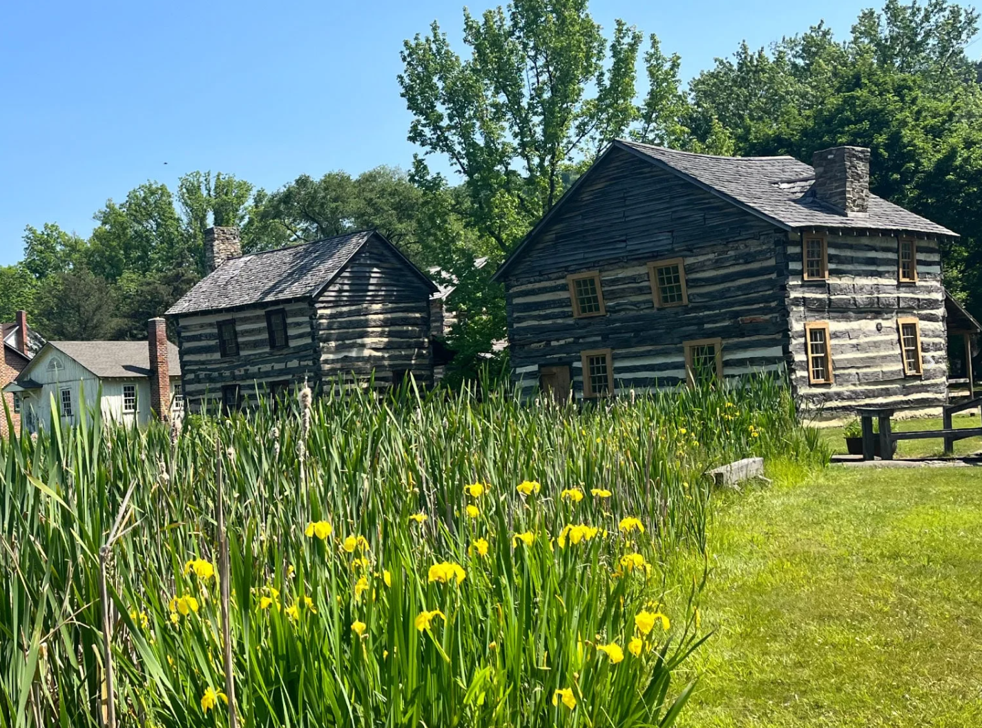 Two log cabins are sitting in the middle of a grassy field.