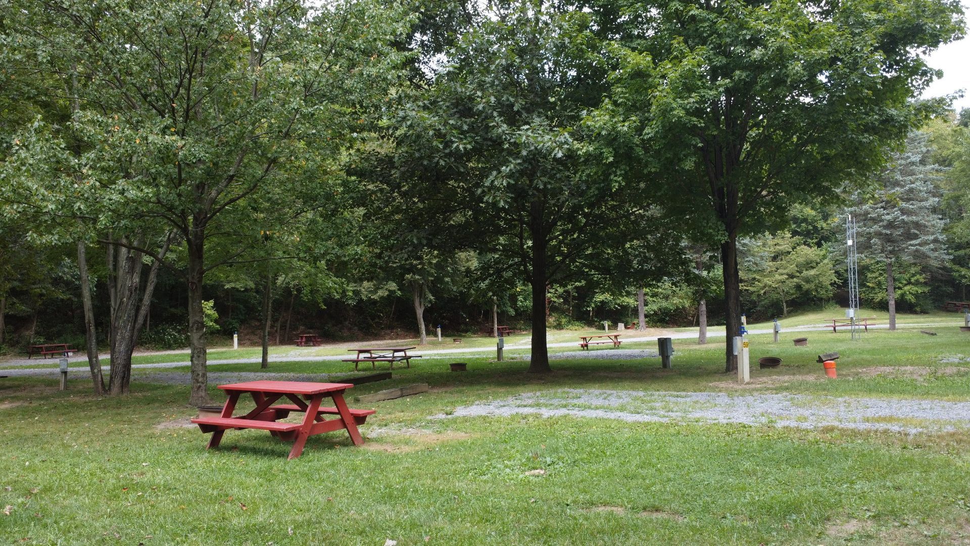 A red picnic table is sitting in the middle of a park surrounded by trees.