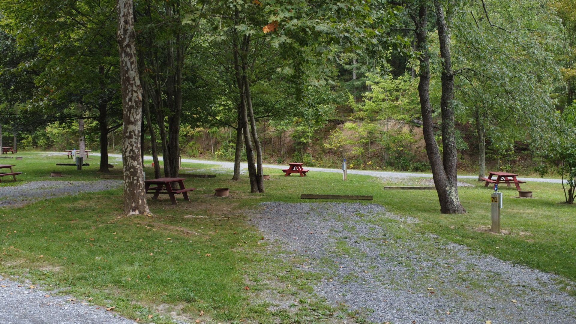 A park with a lot of trees and picnic tables.