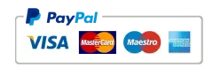Logos for PayPal, Visa, Mastercard, Maestro, and American Express.