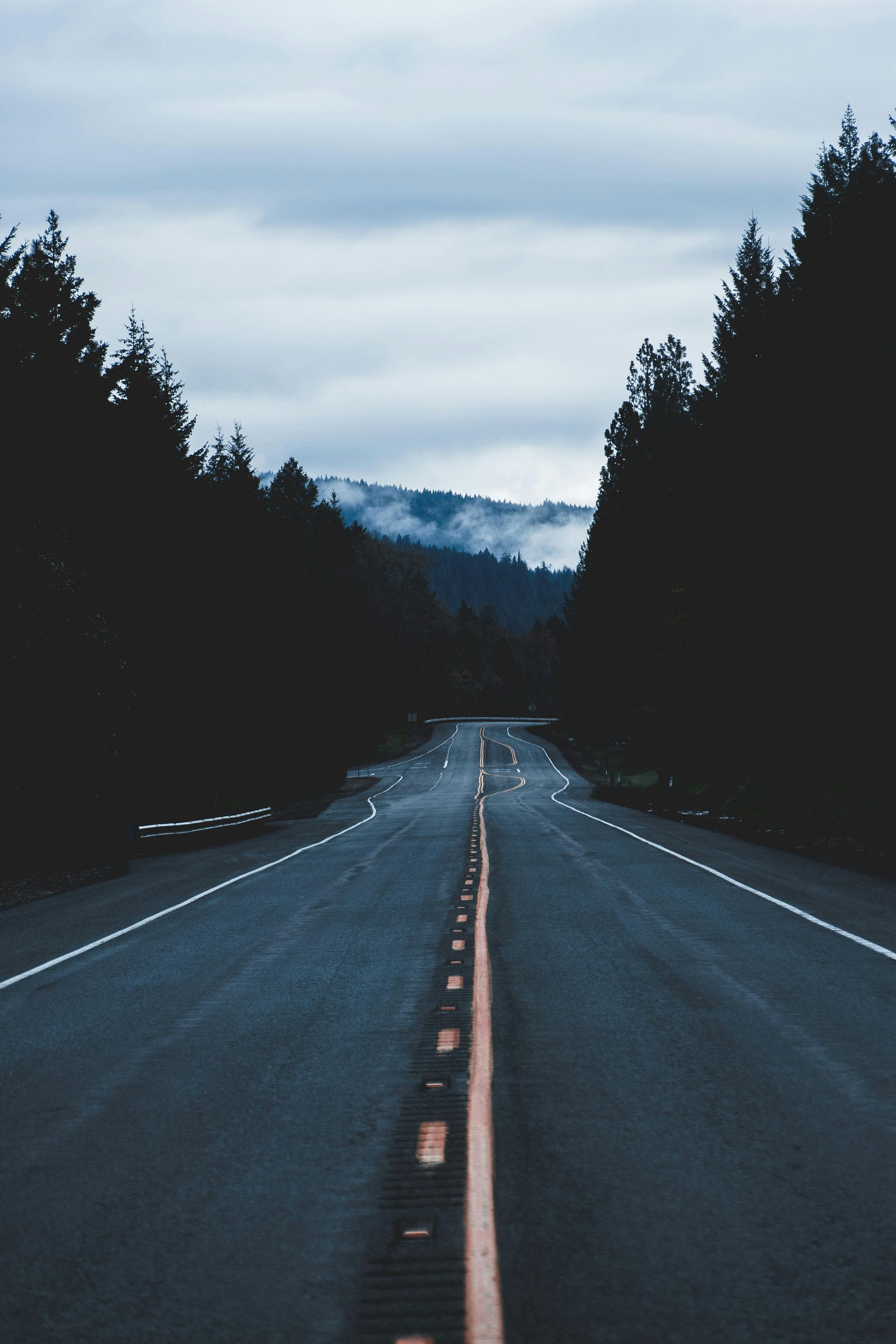Road through a dark forest, leading to distant misty mountains under a cloudy sky.