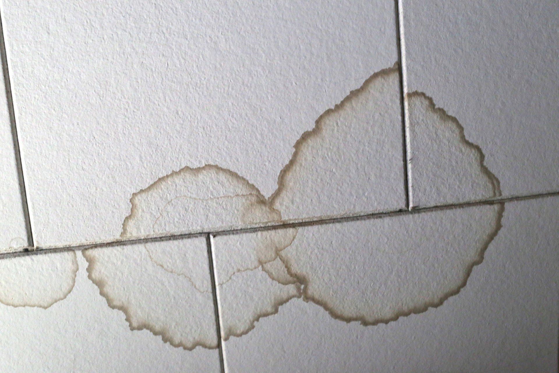 Ceiling Leak Marks — Glen Burnie, MD — McAllister Plumbing Inc.