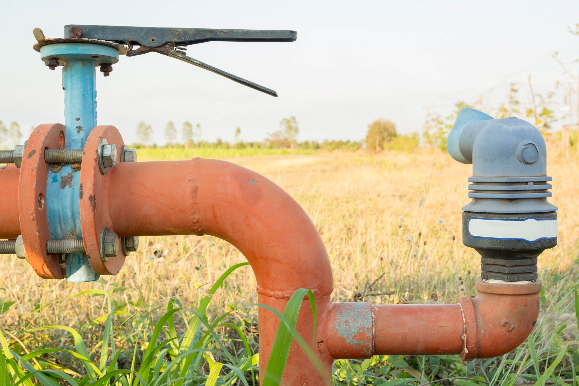 An orange industrial water pipe with a blue valve and a sprinkler head stands in a field of dry, grassy vegetation.