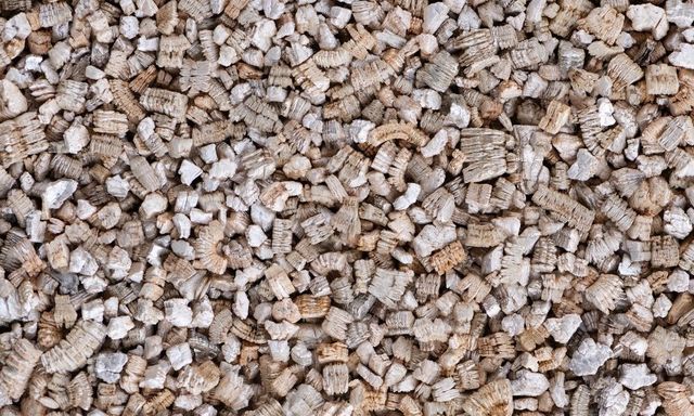 What to Do if You Find Vermiculite in Your Home