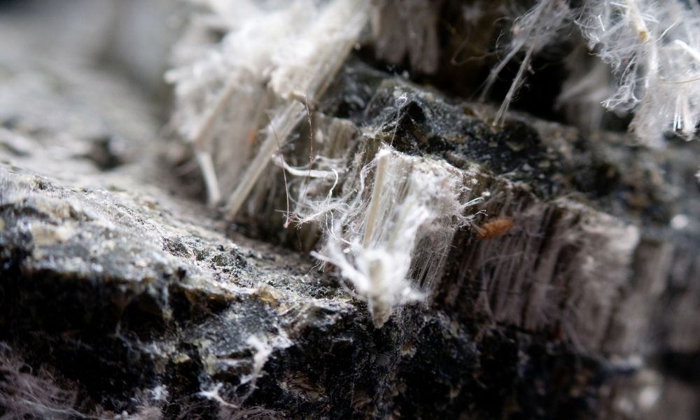 Early Signs of Asbestos Exposure