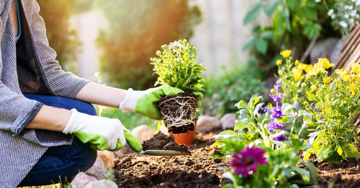 A woman wearing white gloves scoops dirt in a garden with a small shovel. In her other hand, she hol