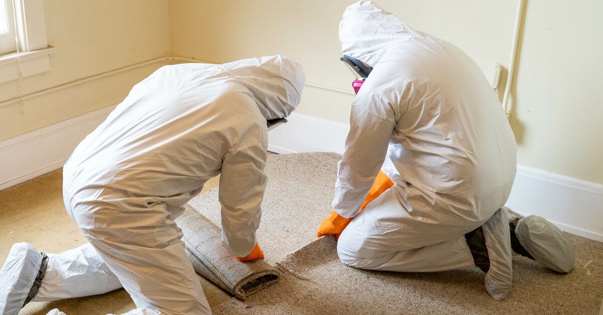 Two people wearing white hazmat suits, masks, and orange gloves remove the carpeting from a home.