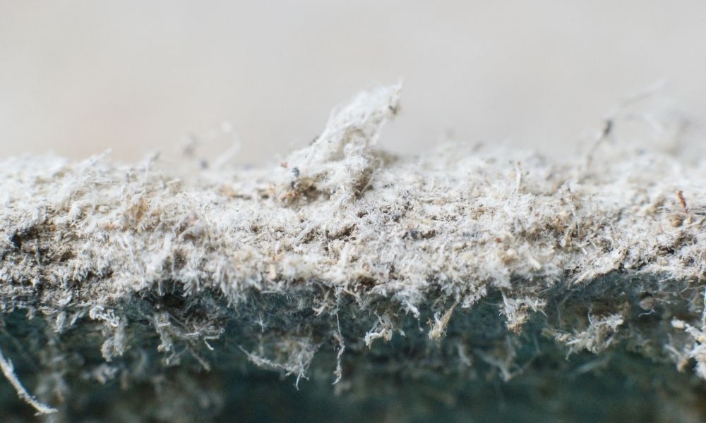 Will Insurance Cover Asbestos Removal?