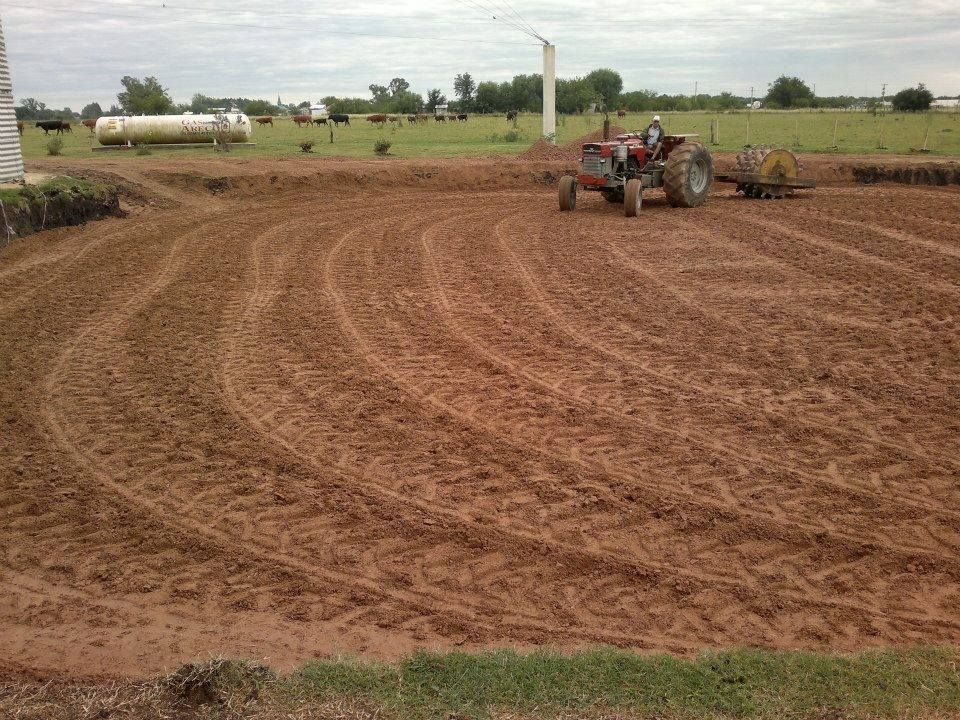 Nave industrial y planta productiva desarrollada por FD Fabre Ingeniería en la región de Villa Elisa, Entre Ríos.