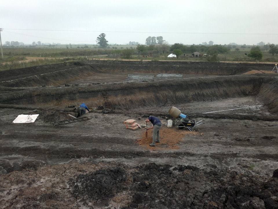 Nave industrial y planta productiva desarrollada por FD Fabre Ingeniería en la región de Villa Elisa, Entre Ríos.