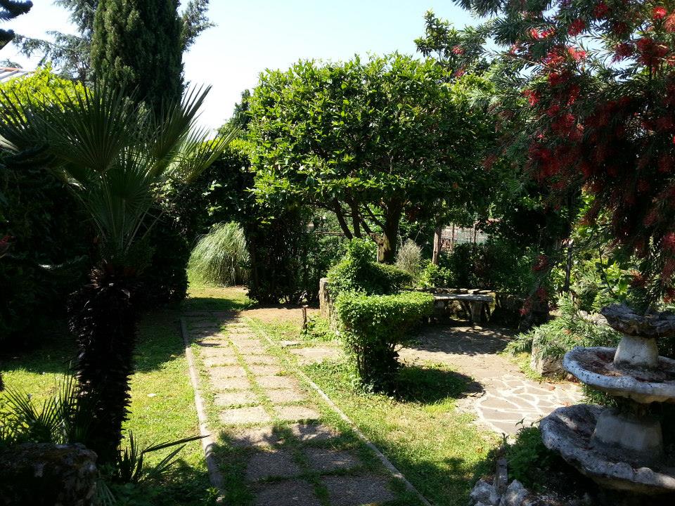 Un sentiero in pietra attraverso un rigoglioso giardino verde con varie piante e alberi. Soleggiato, luce naturale.