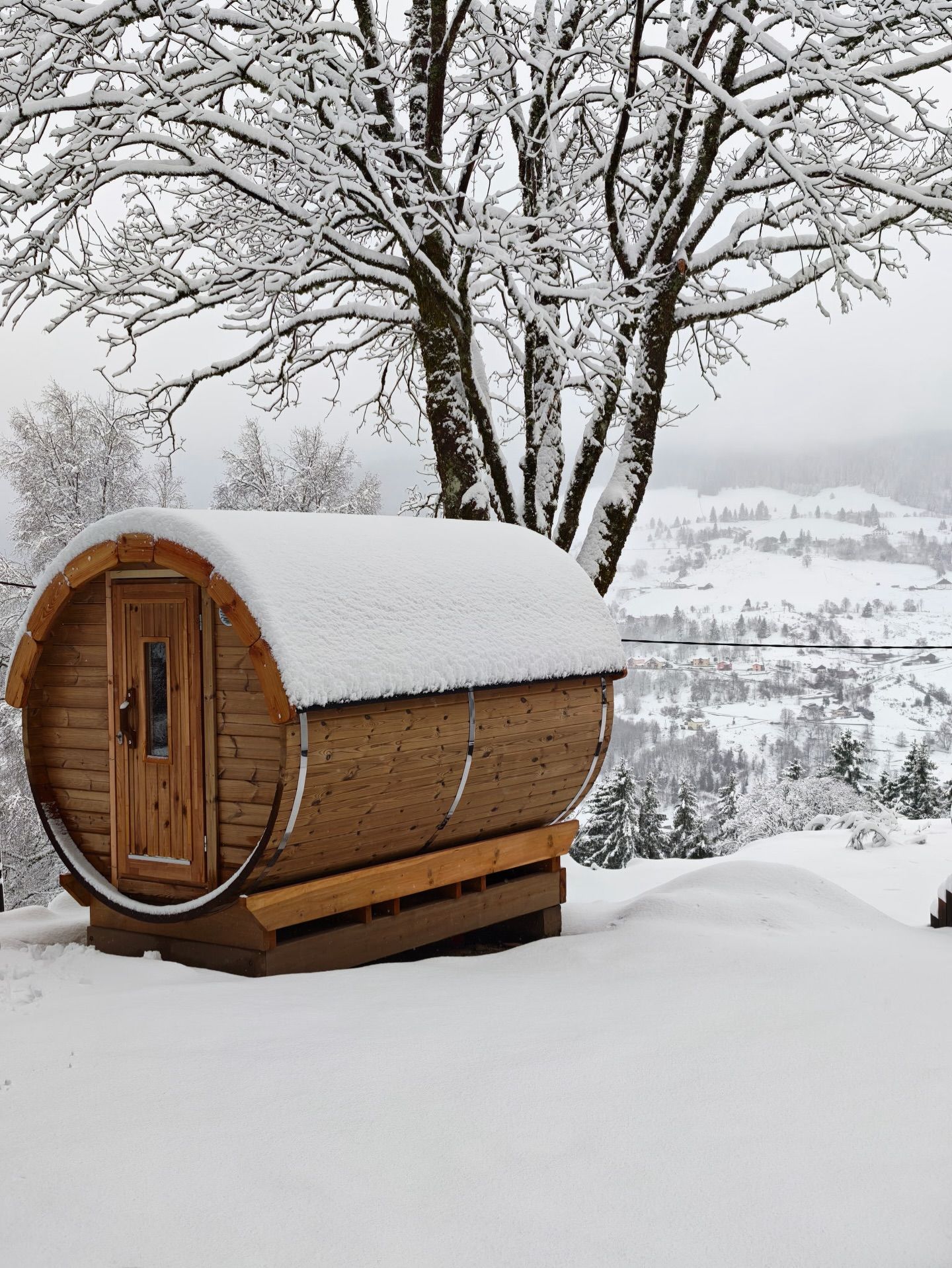 Un sauna en bois en forme de tonneau se dresse dans un paysage hivernal enneigé, sous un grand arbre recouvert de neige.