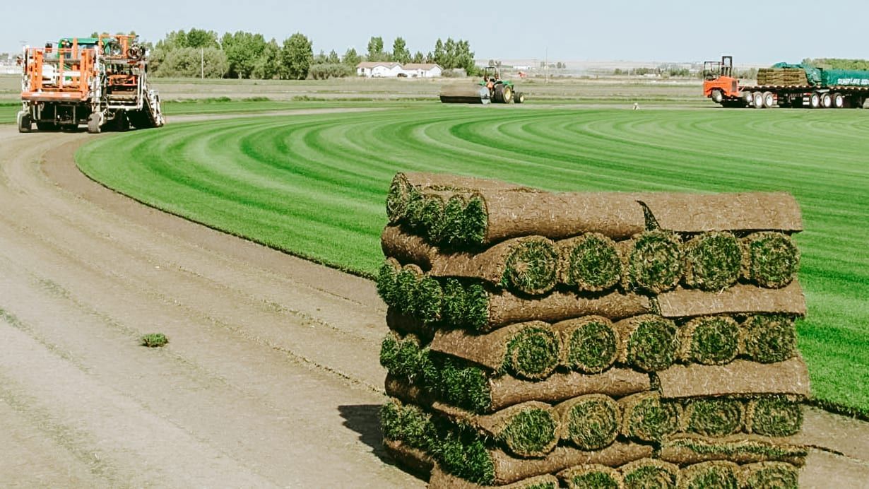 A stack of turf is sitting on the ground in a field.