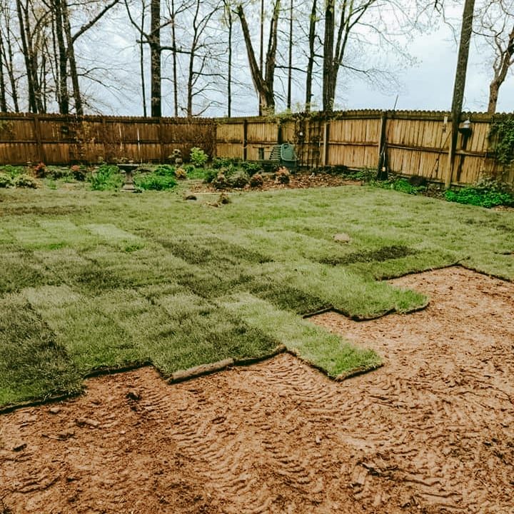 A backyard with a wooden fence and a lot of grass.