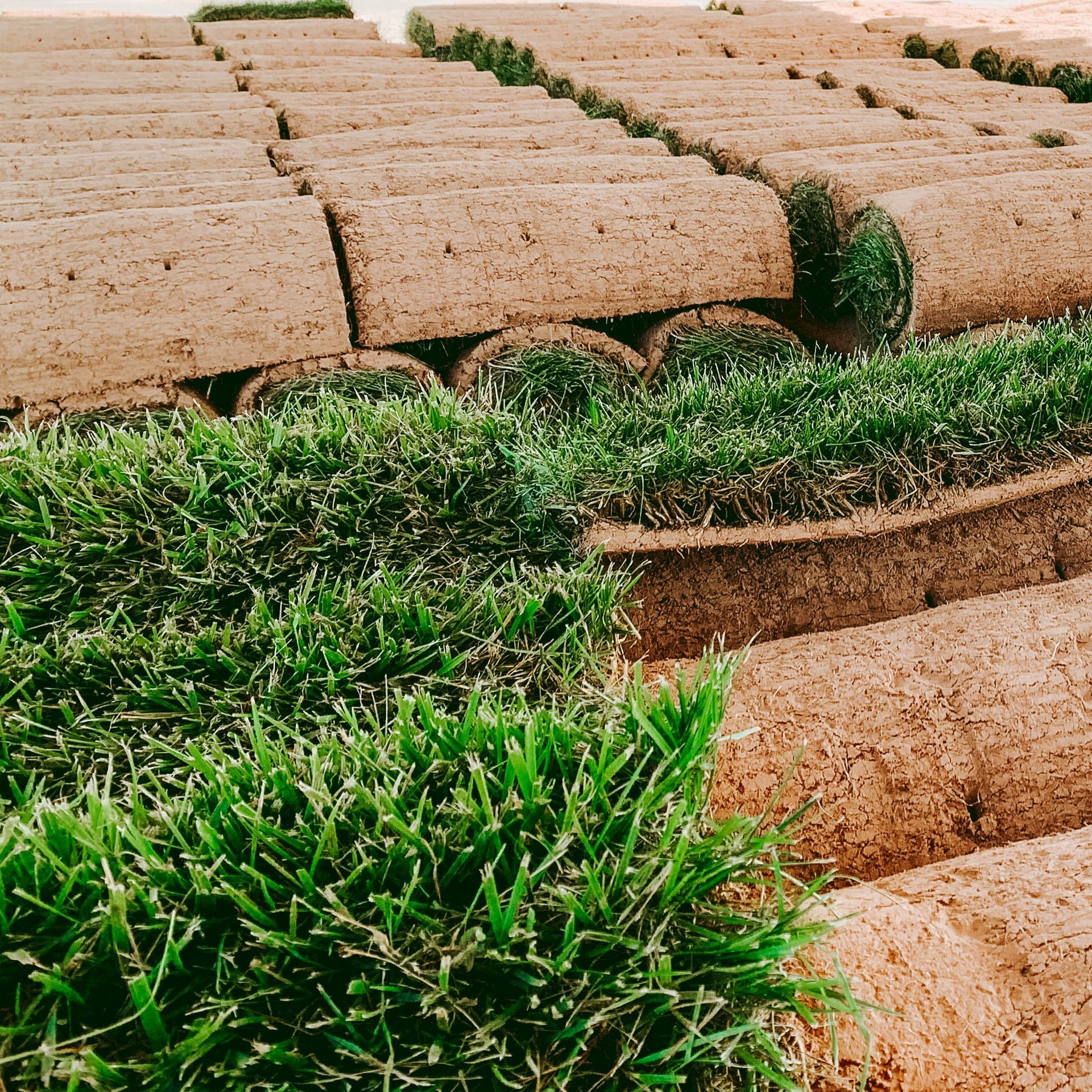 A bunch of rolls of grass sitting on top of each other