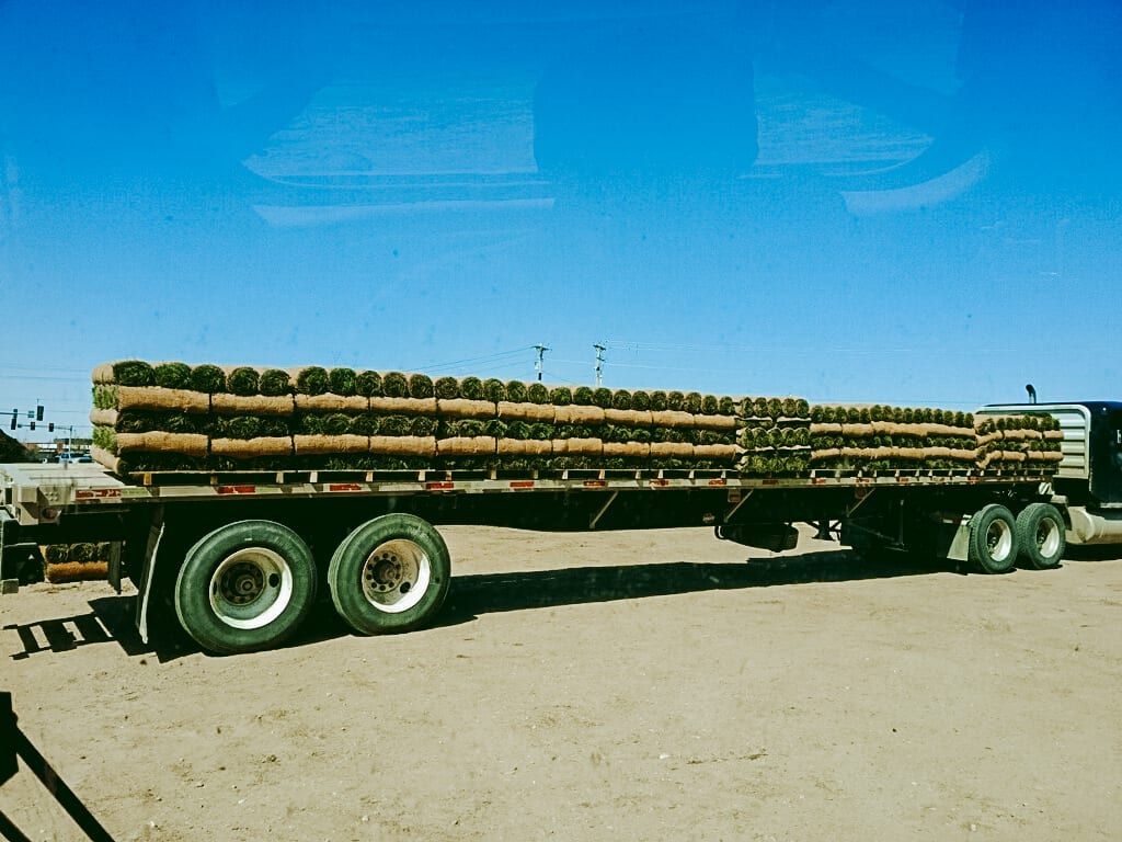 A semi truck is carrying a large load of logs