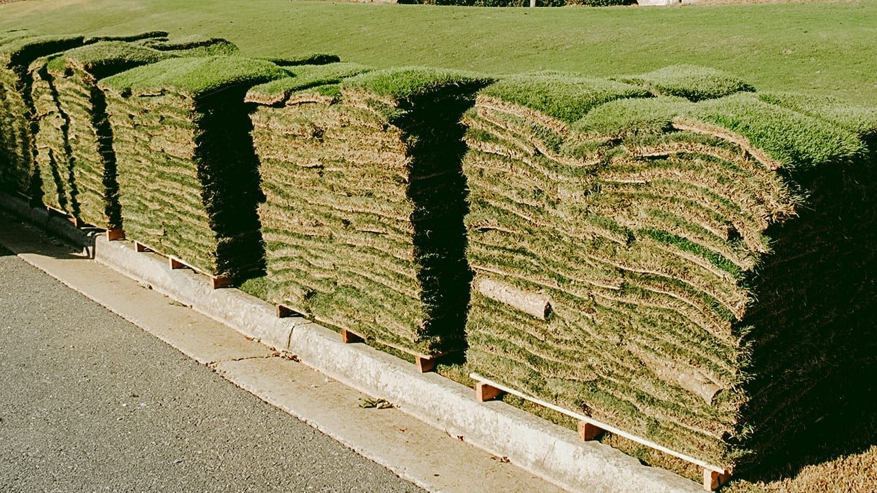 A bunch of rolls of grass are sitting on the side of the road