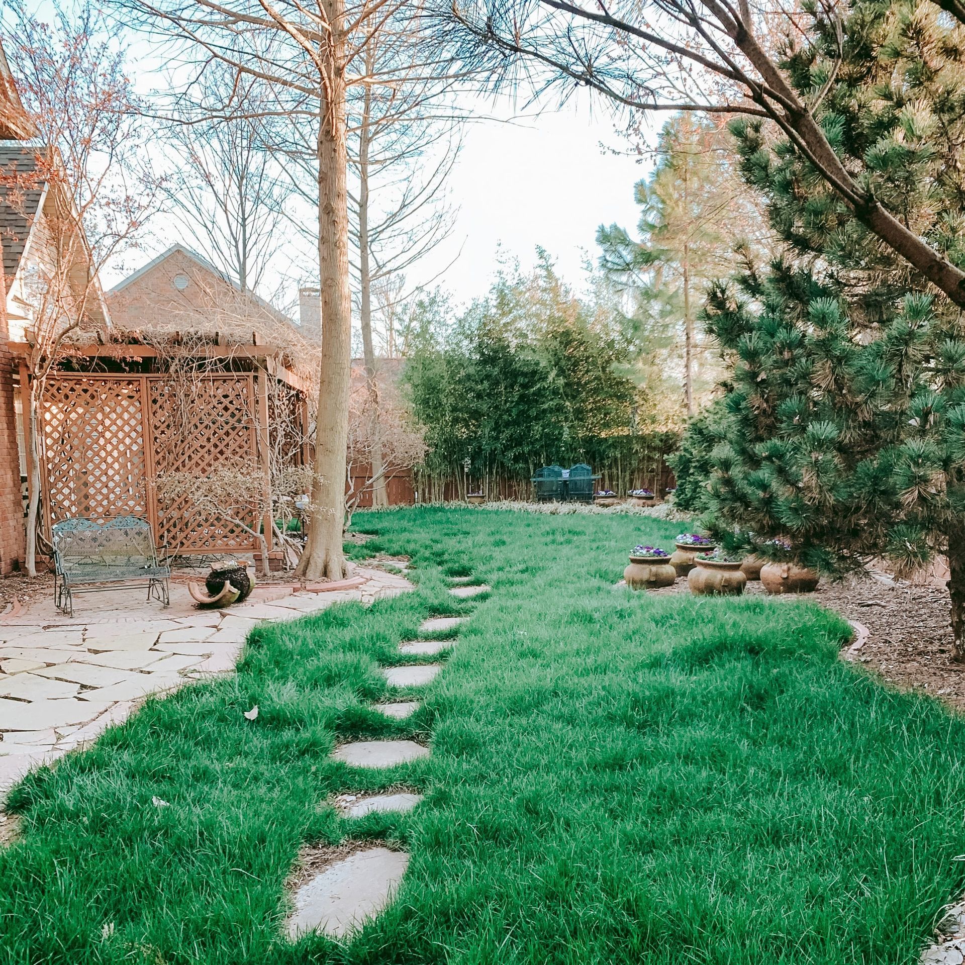 A lush green backyard with a stone path leading to a gazebo.