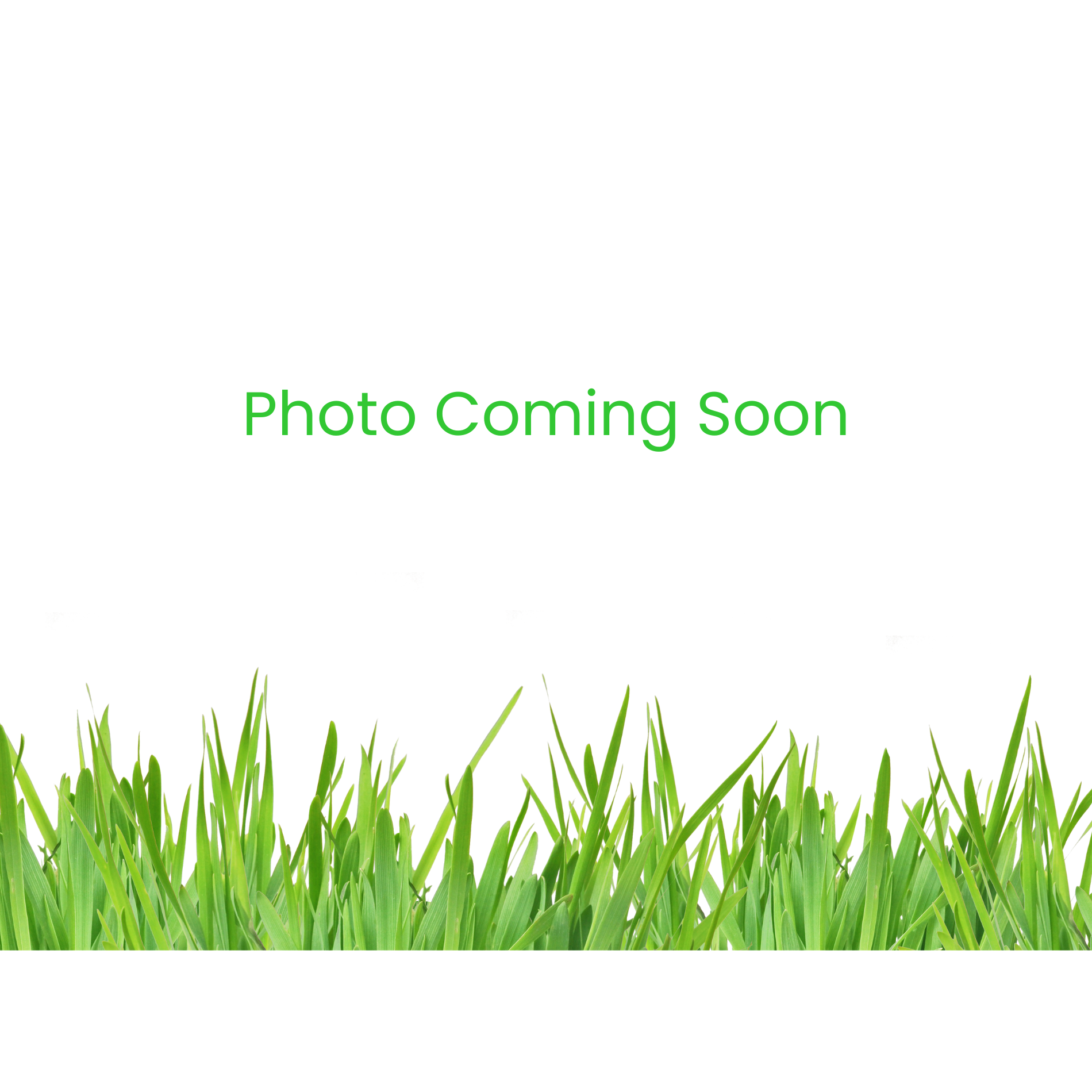 A picture of a lawn with the words `` photo coming soon '' written on it.