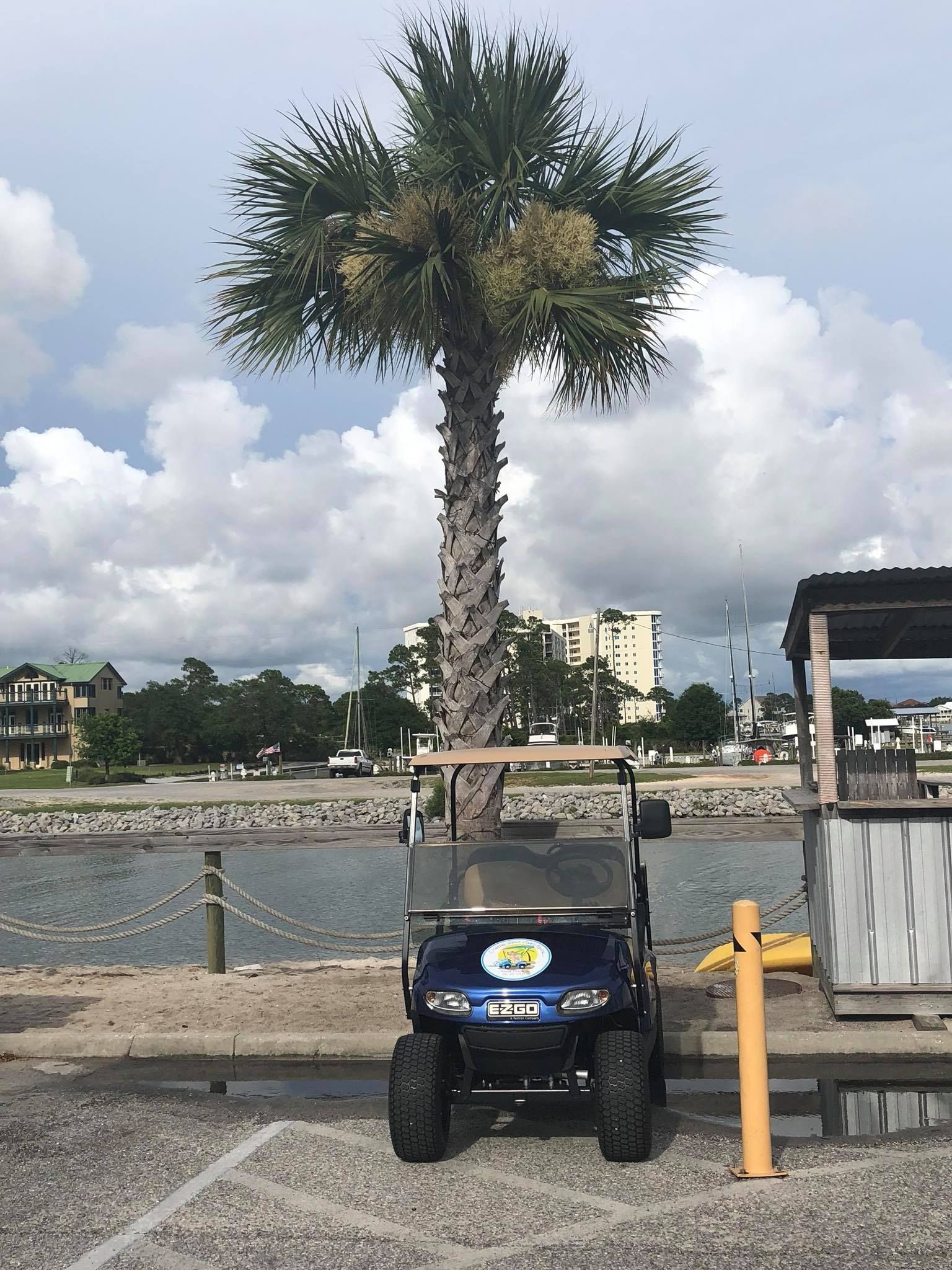 A blue golf cart parked on gravel in front of a tall palm tree near a coastal waterfront with a cloudy sky in the background.
