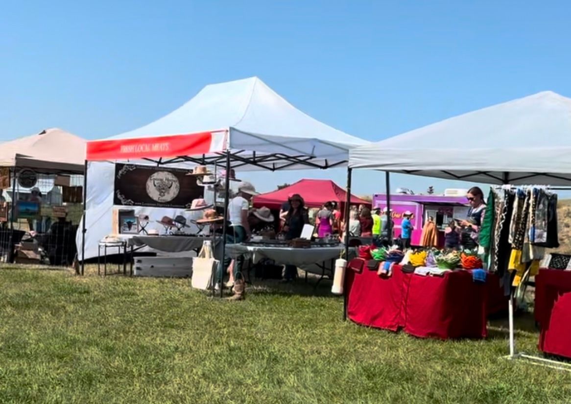 A man is standing next to a car with bags on the roof.