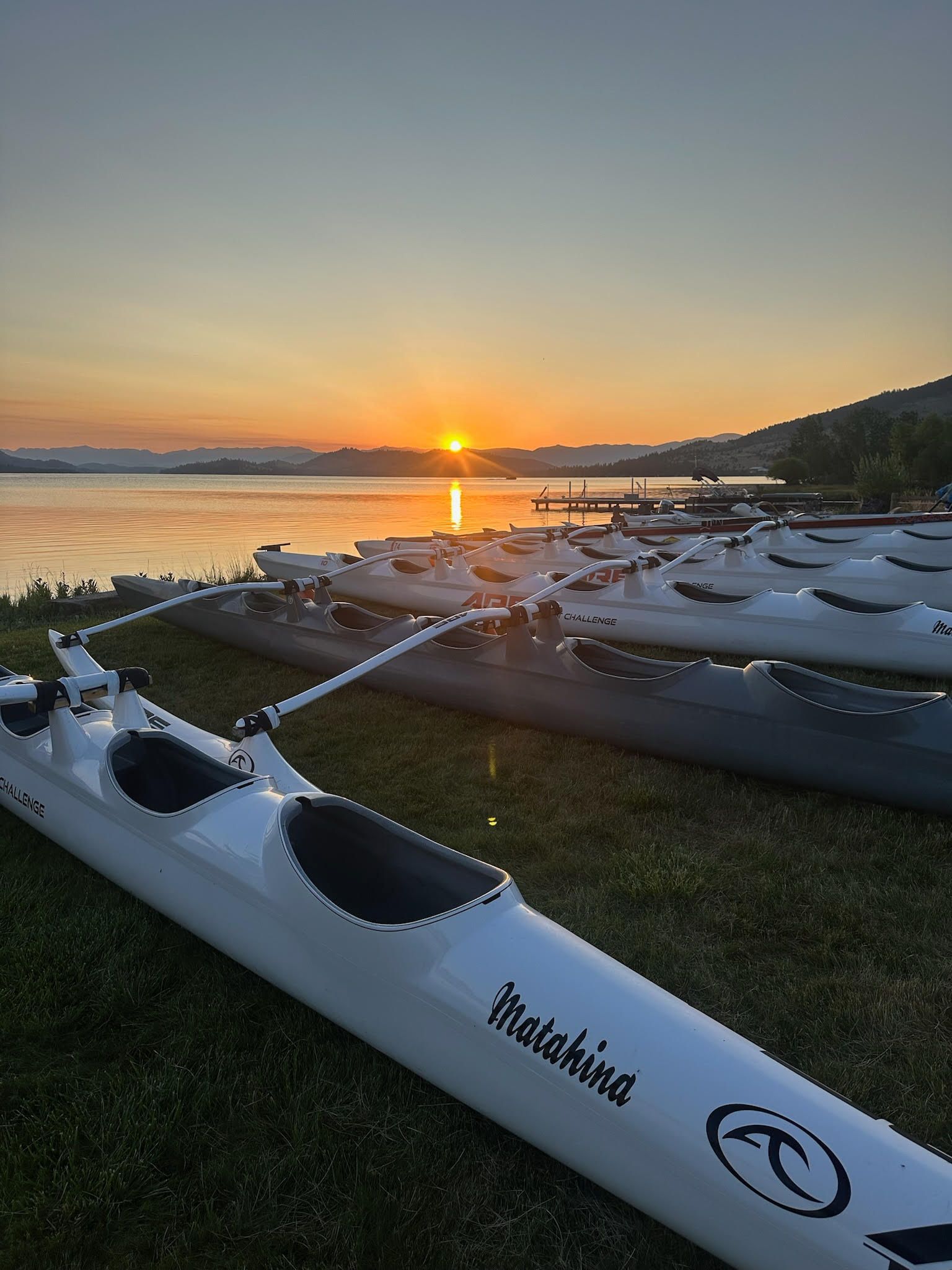 A row of kayaks are parked on the grass near a body of water at sunset.