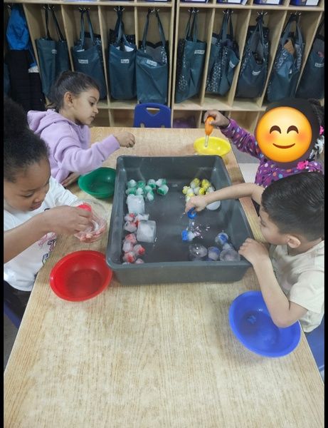 Turtles  - child learning center in Moline IL