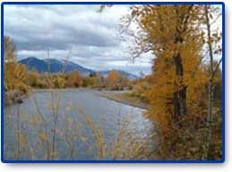 Century II Campground