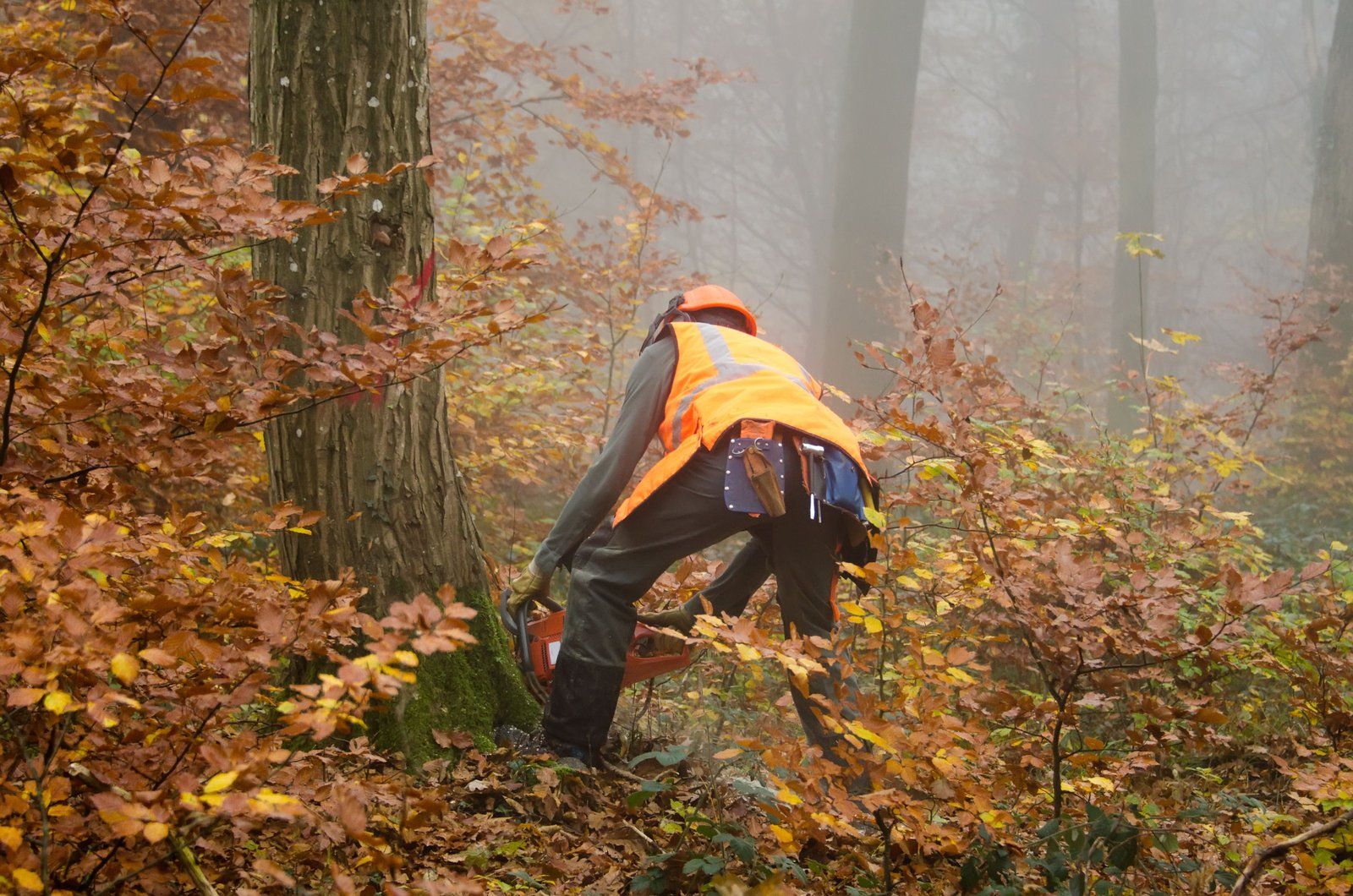 worker using a chainsaw