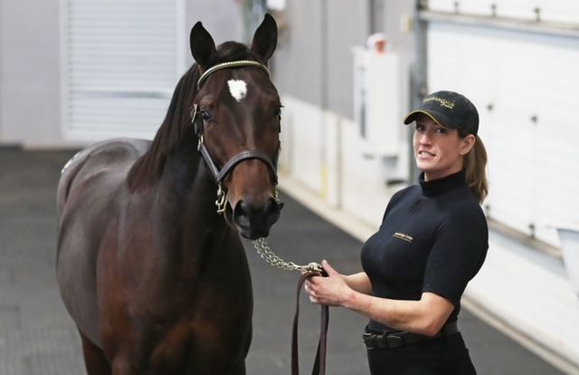 Stonebridge Farm