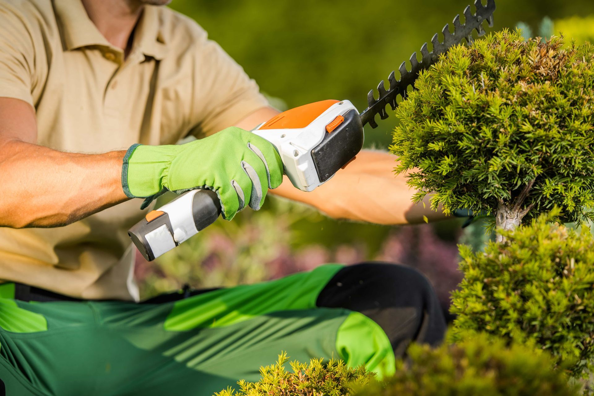 Person using hedge trimmer on a small bush. Green gloves and pants, beige shirt. Outdoors.