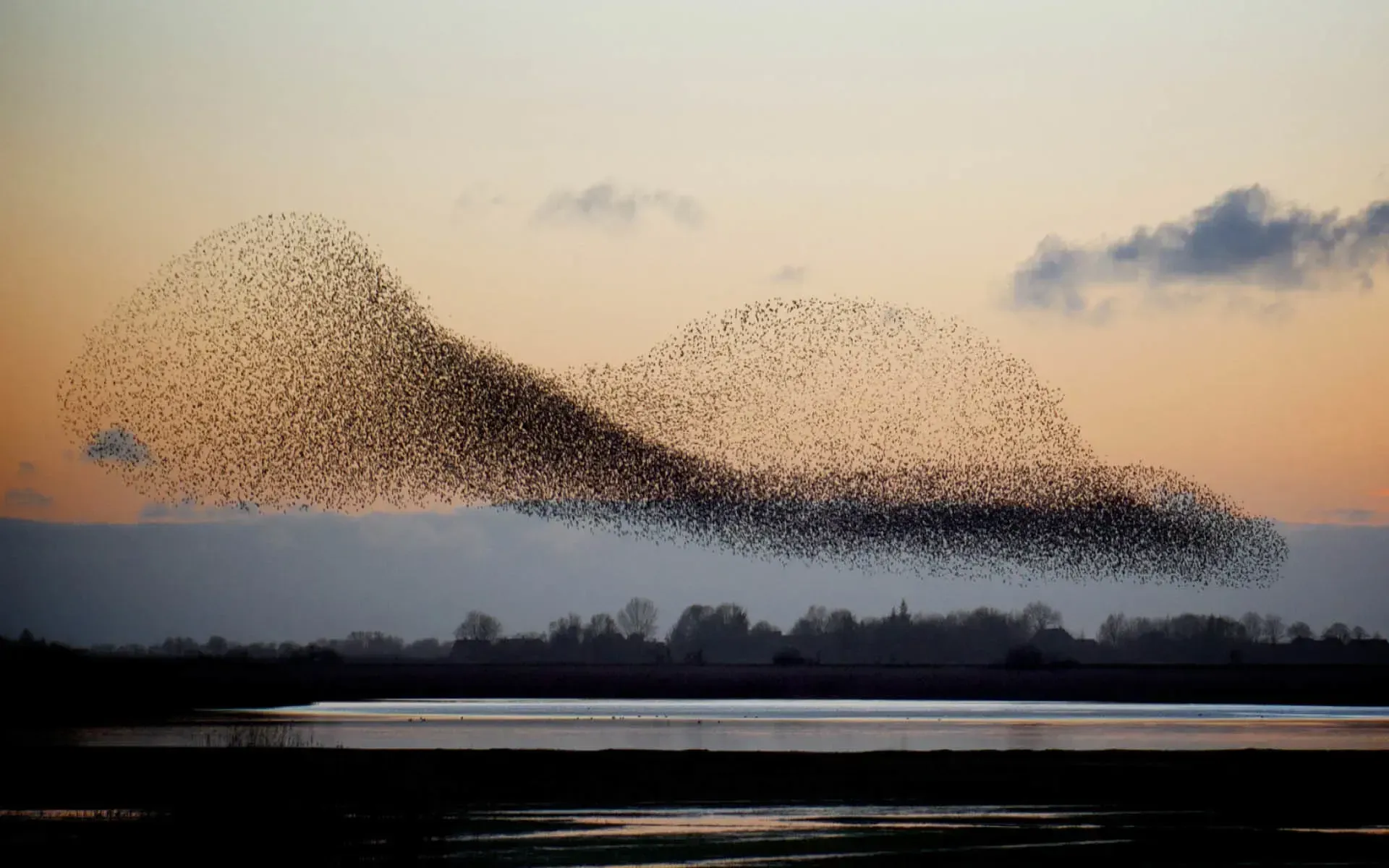 Black sun in Tøndermarsken