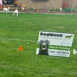 A sign that says dogwatch hidden fences on it
