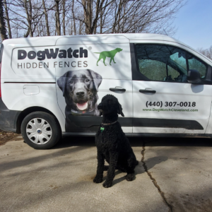 A dog sitting in front of a dogwatch van