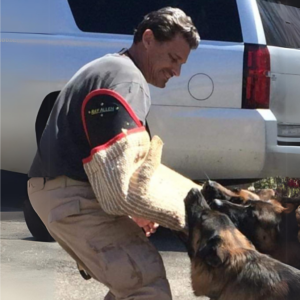 A man is playing with a german shepherd dog