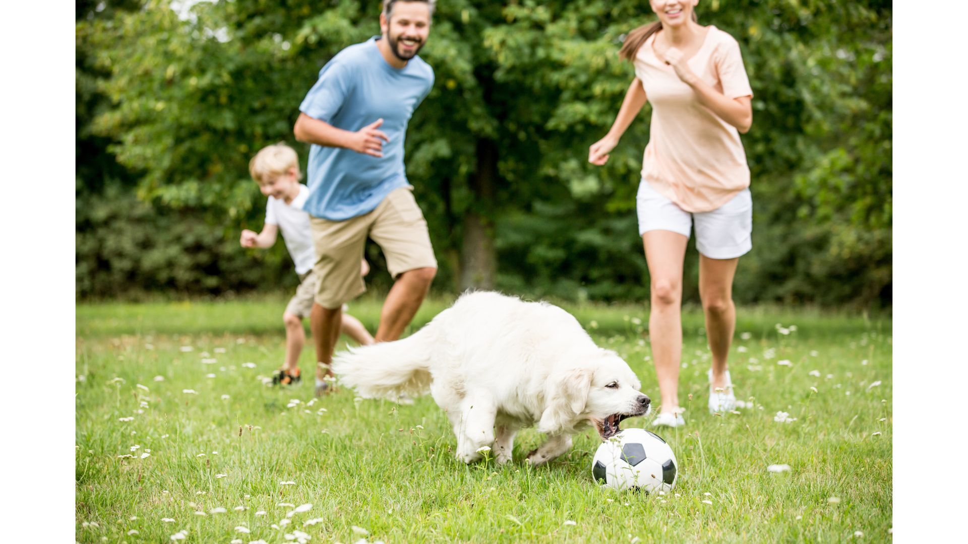 A family is playing soccer with their dog in the park.