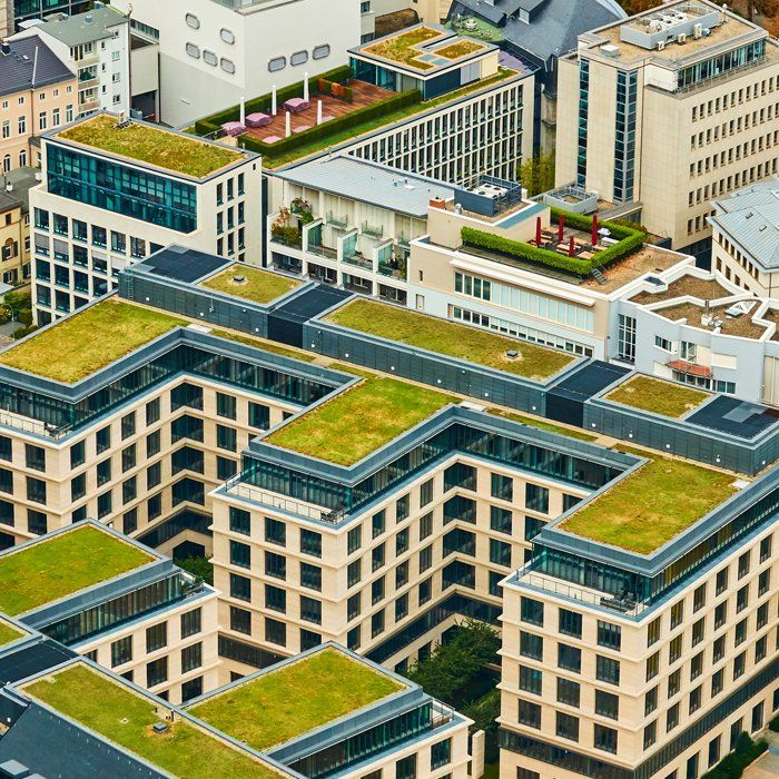 Green Roofs — Lakewood, CO — Watershed Roofing & Restoration