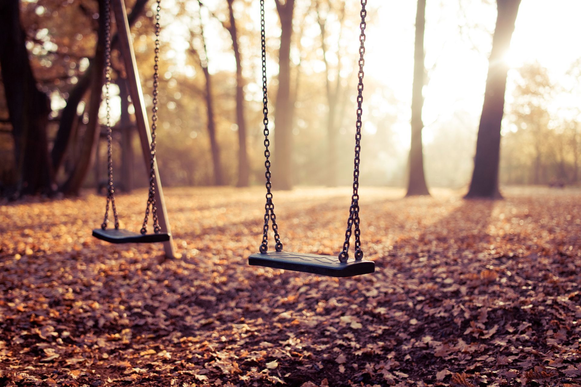 Two swings in a park with leaves on the ground